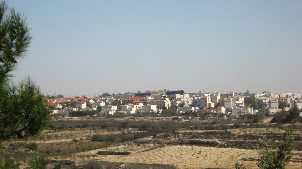 Alon Shvut's red-roofed homes on a hilltop above terraced fields, seen across a valley with a pine tree in front