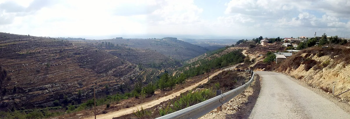 A road winding through terraced, wooded hills at Bat Ayin, with houses on the ridge